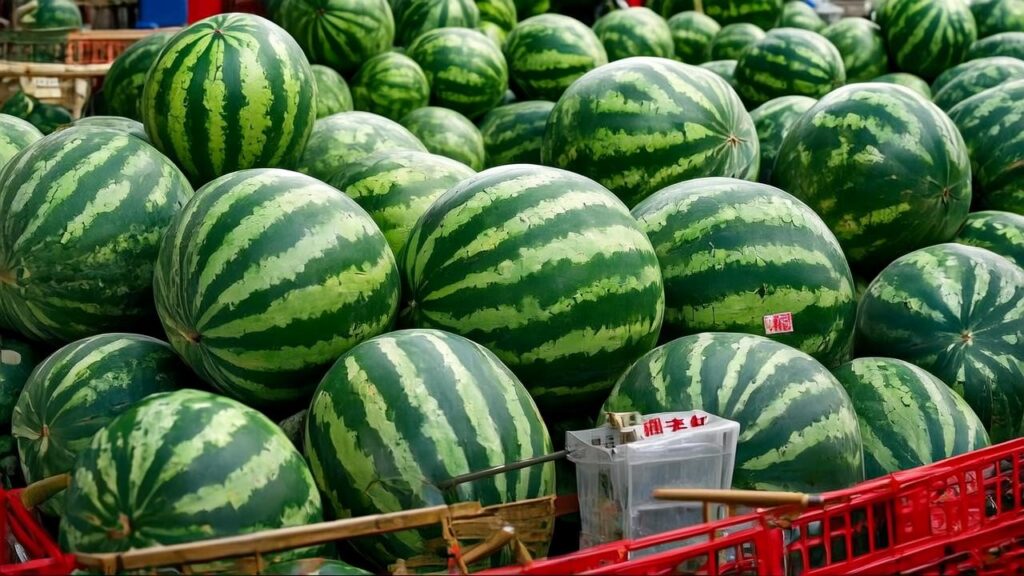 The Uncontested Leader: Which Country is the Largest Watermelon Producer? 1 Largest Watermelon Producer