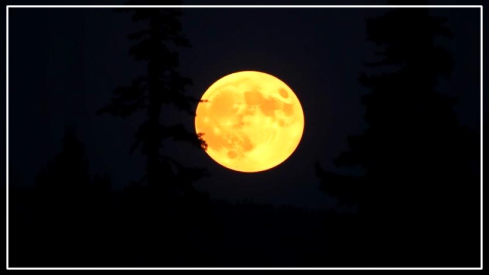 June’s Strawberry Moon to Skim the Horizon as the Lowest Full Moon of 2025 1 Lowest Full Moon