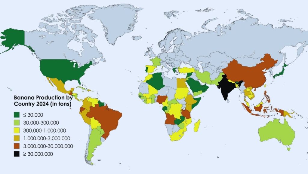 top countries banana producing