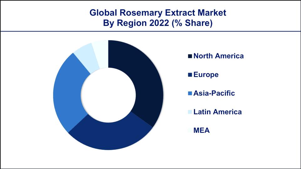 Spain Leads Global Market as the World's Top Rosemary Exporter 2 top rosemary exporting countries by financial value