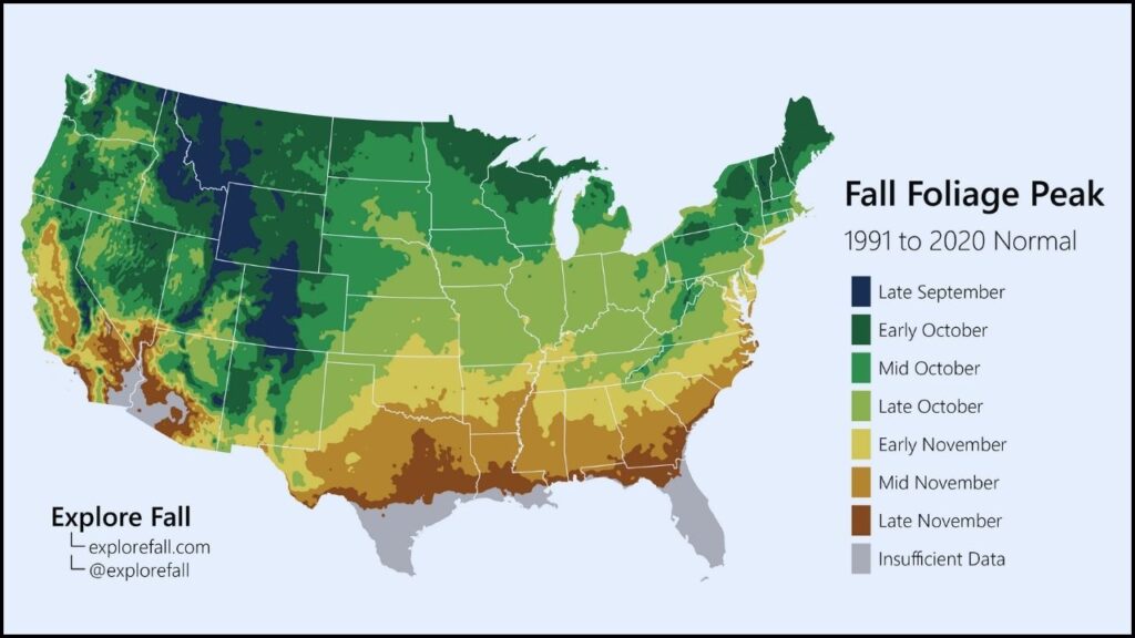 Predicting Peak Fall Foliage: Experts Share the Best Times to See 2025's Colors Across the Nation 2 Fall Foliage Peak