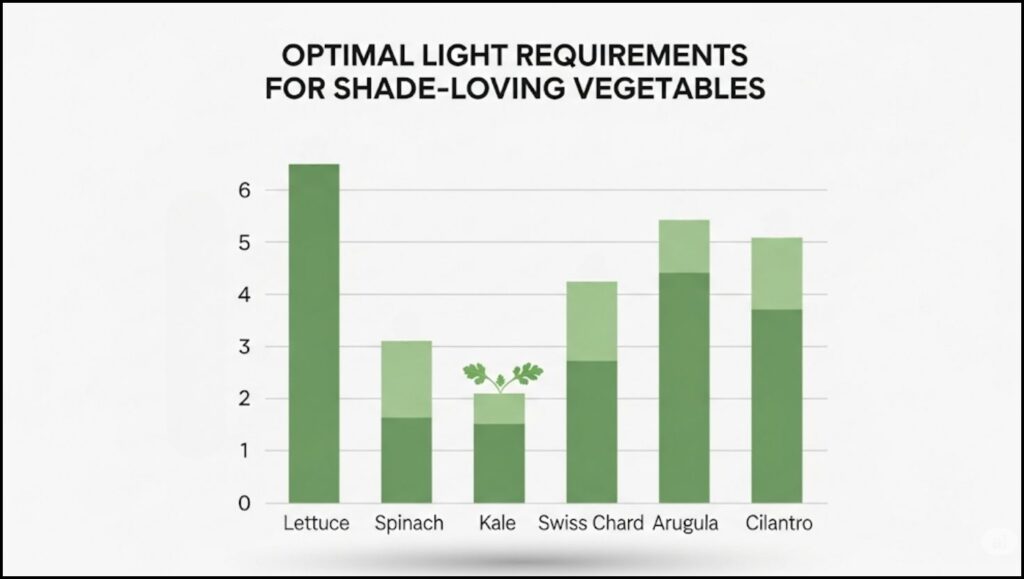 Guide to Thriving 15 Shade-Loving Vegetables That Flourish With Little to No Sun 2 Optimal light requirements for six shade-loving vegetables