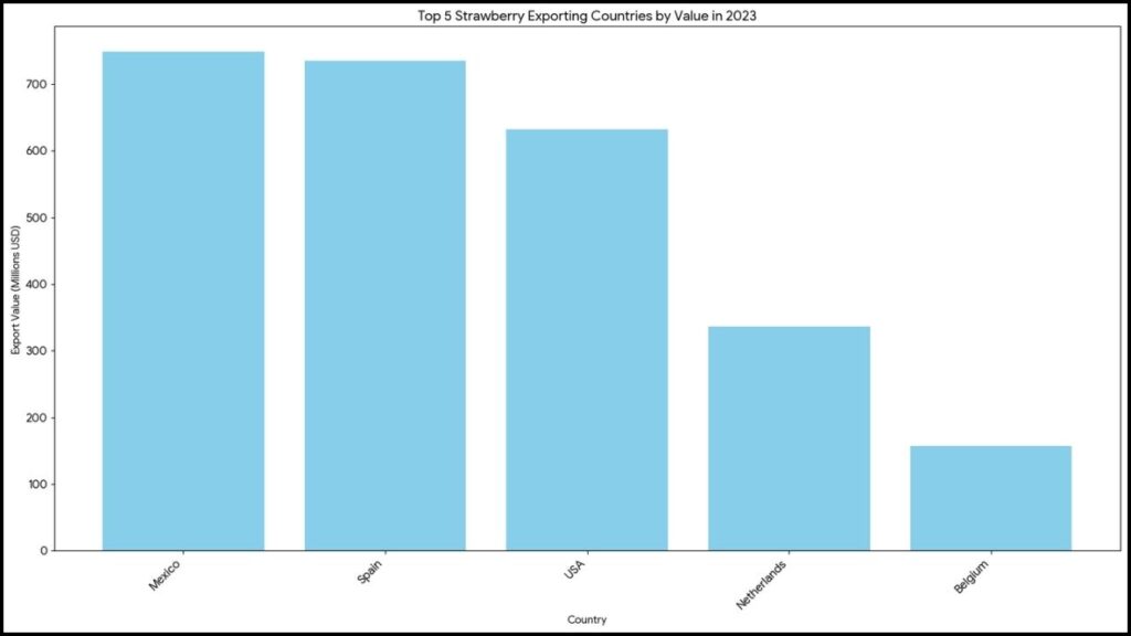 Top 5 Strawberry Exporting Countries