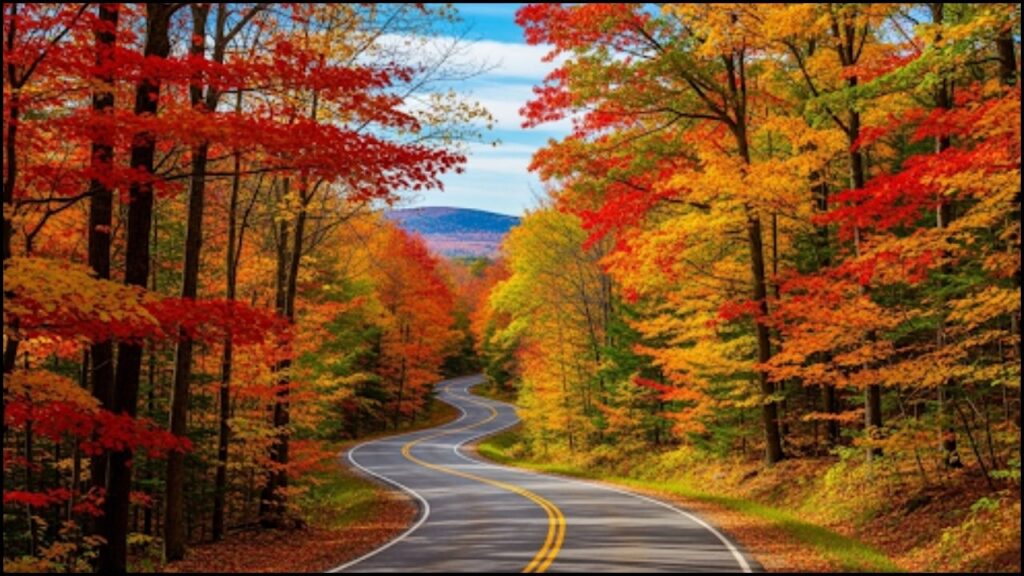 The Science and Forecast Behind the 2025 Fall Foliage Season 1 Fall Foliage Season