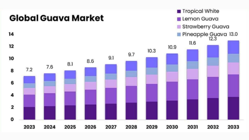global guava market
