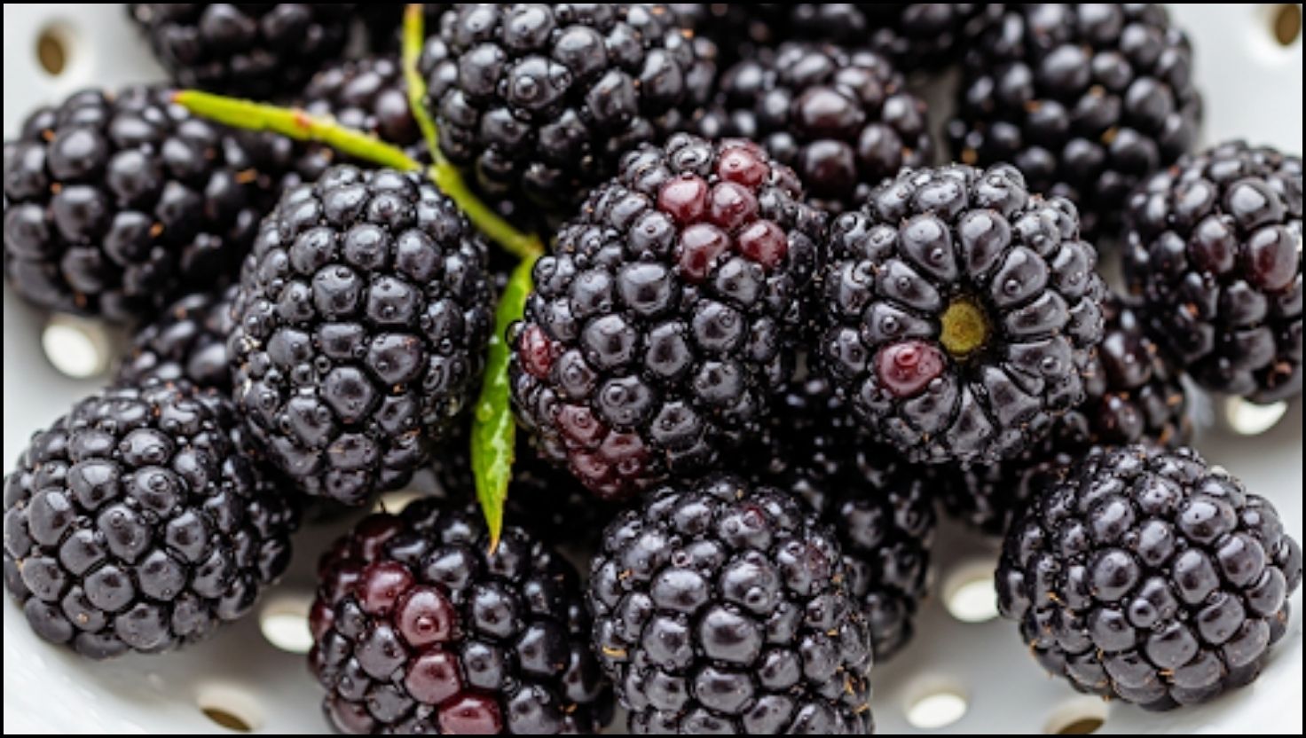 How to Wash Blackberries