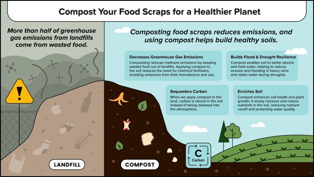 layers of a healthy compost pile